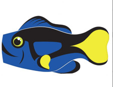 Blue Tang fish windsock by