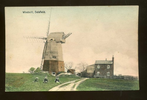 Sussex selsfield windmill - ,