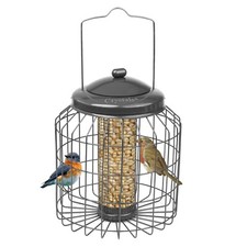 Squirrel proof hanging - hanging, bird
