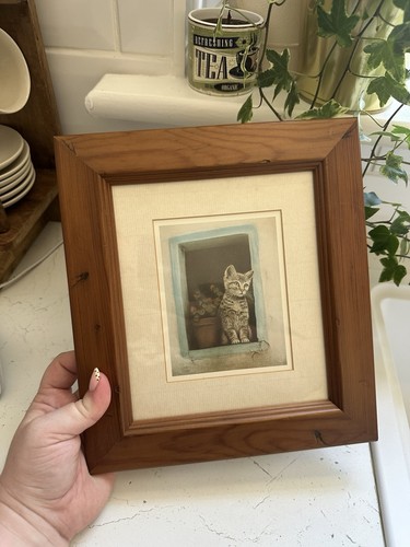 Vintage sue willis framed cat - willis,