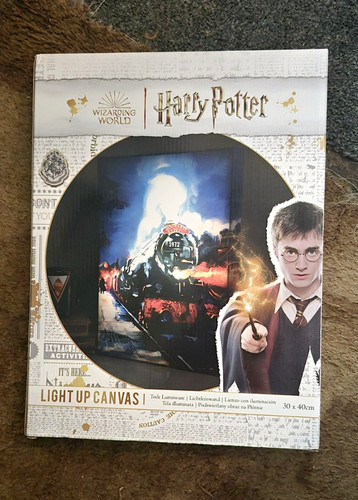 Harry potter hogwarts express - harry,