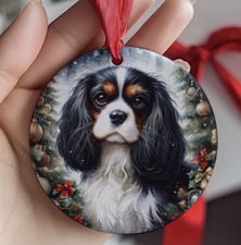 Cavalier King Charles Spaniel
