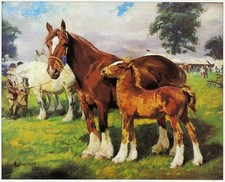 Mare & Foal at County Show, Lucy Kemp Welch horse print in 10 x 12 mount SUPERB