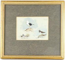 Archibald thorburn gt backed - archibald,