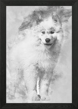 Samoyed puppy standing aga