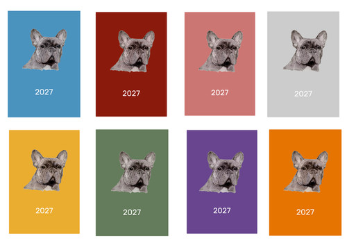 French bulldog 2027 - 2027, diary: