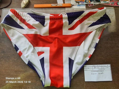 Mens acclaim swim briefs union - mens,