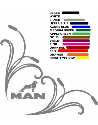 Man truck window - decals, 2