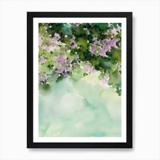 Montipora Ii Storybook