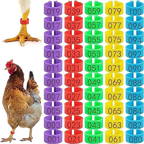 100pcs bird identification - 100pcs,