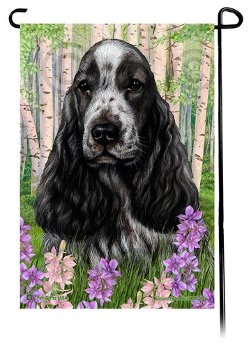 English cocker spaniel spring - spaniel,