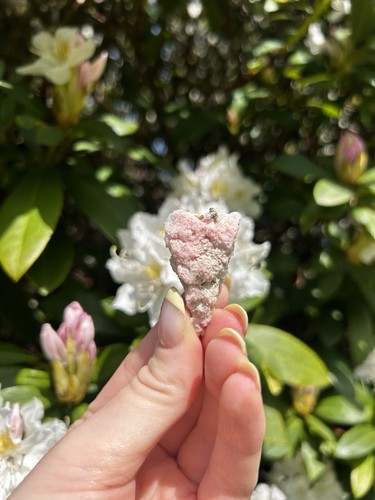 Bulgarian bubblegum pink - bubblegum,