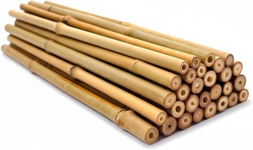 Strong bamboo garden canes - bamboo,