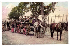 Early Y & C Post Card of