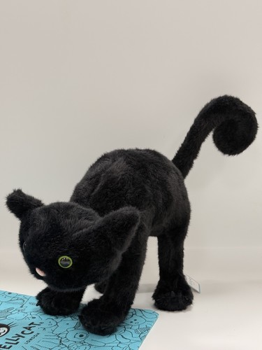 Jellycat spookipaws cat plush - jellycat,
