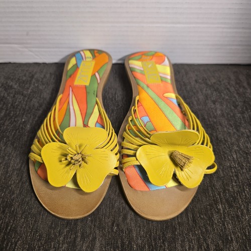 Wiz summer edition - summer,