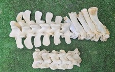 Small cow vertebrae - small,