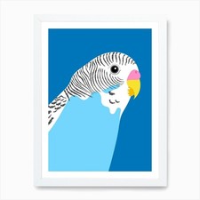 Blue Budgie Art Print Framed