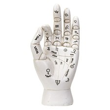 PT PALMISTRY HAND
