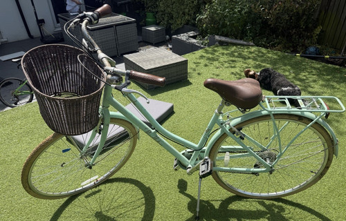 Mint green step - mint,
