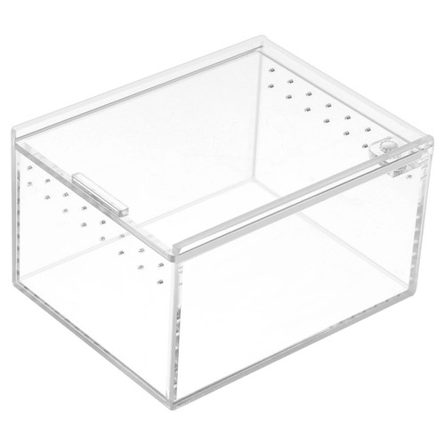 Acrylic crawling pet - acrylic,