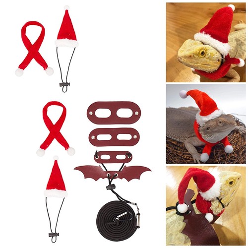 Lizard christmas hat - hat, and