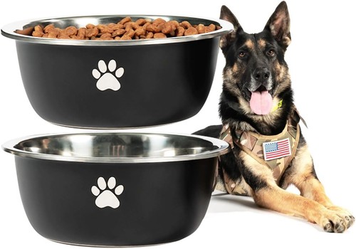 Large dog water - large,