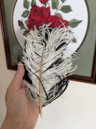 Antique black white ostrich - black, &