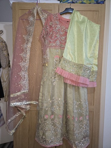 Girls fancy dress net and - dress,