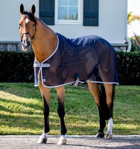 Horseware amigo net - amigo, air