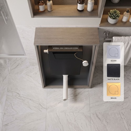 Toilet concealed cistern dual - concealed,