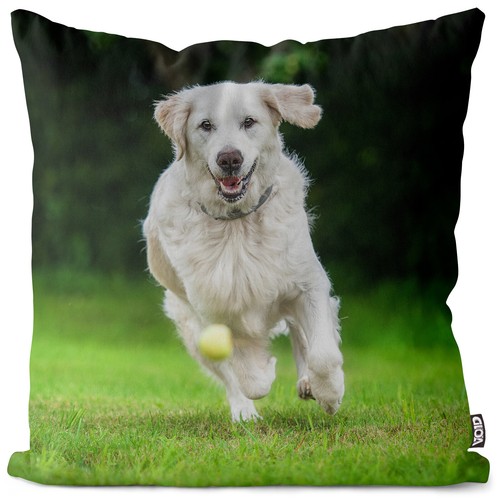 Golden retriever ball cushion - golden,
