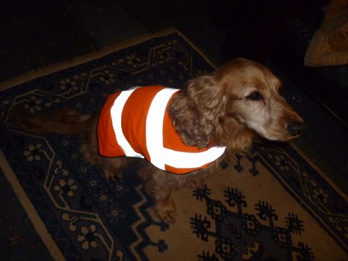 Vis viz orange reflective - hi,