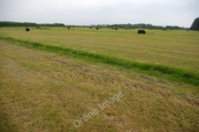 Photo 6x4 Silage all wrapped