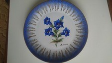 Bavaria plate berchtesgaden - plate,
