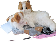 2 FurReal Friends Cats -Large Lulu Ginger White Cat & Kitten Interactive Hasbro