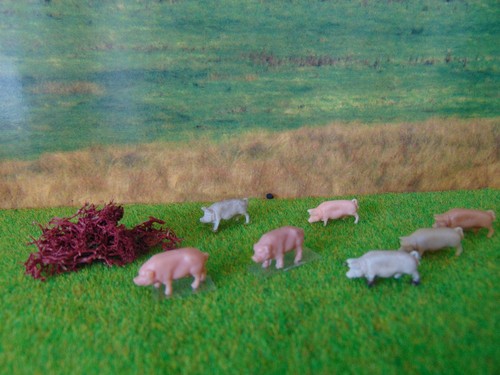 Gauge pigs ref6943 - oo, ~