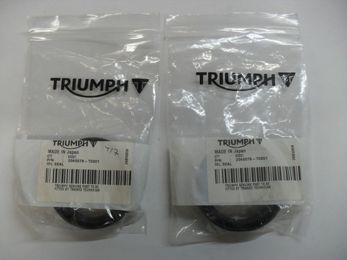 Triumph daytona thunderbird - daytona,