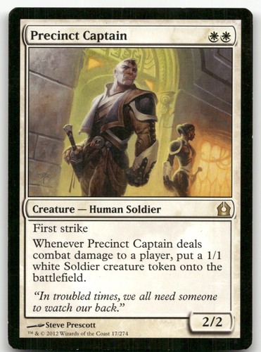 Precinct captain - captain, #17