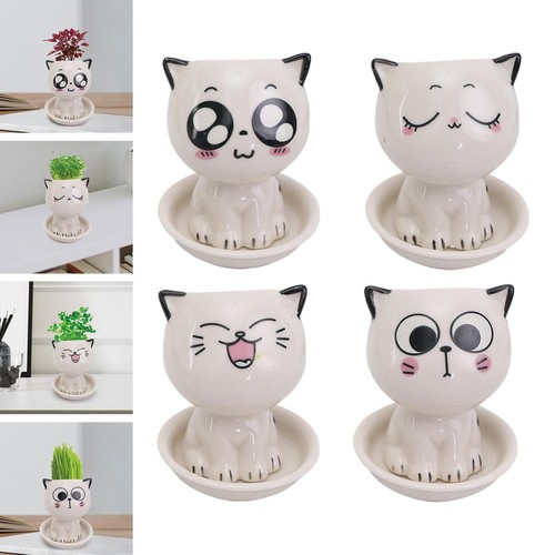 Cartoon plant pot vase - plant,