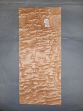 TAMO ASH BURR VENEER - 1