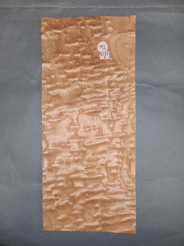 Tamo ash burr veneer 1 - ash,