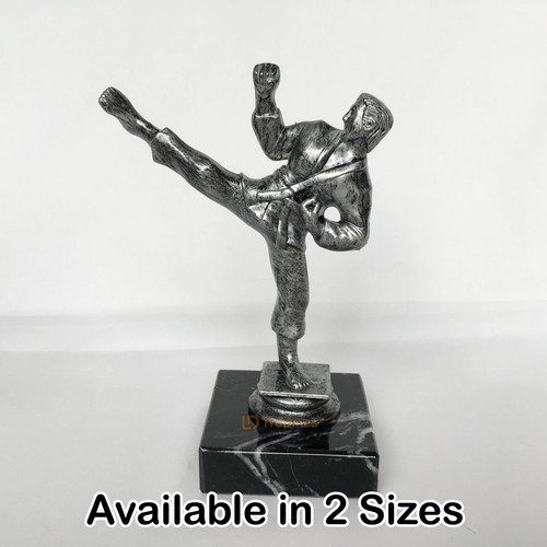 Martial arts trophy free - martial,