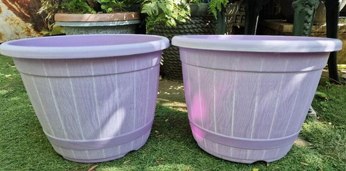 Pair of 32cm pastel - /,