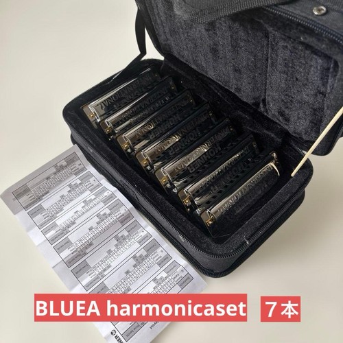 Hohner international harmonica - international,