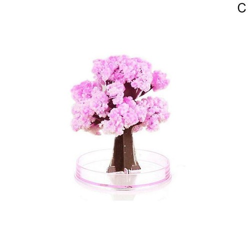 Magic sakura tree - magic,