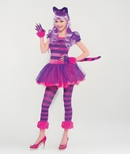 Amscan Pink & Purple Cheshire