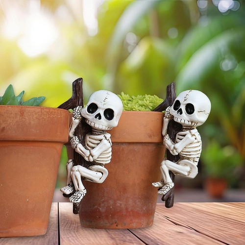 Pieces skeleton statues - pieces,
