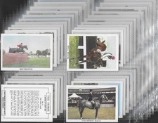 ANGLO AMERICAN-FULL SET- THE HORSE 1966 (X66 CARDS) EXCELLENT+++