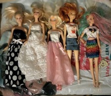 Barbie X5 Fashion Doll Bundle 